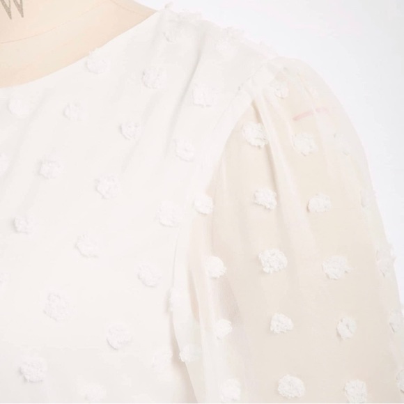 Chiffon Swiss Dot Empire Party Dress with Sheer Long Sleeves 💕 Plus Size 22/24 - Picture 4 of 7